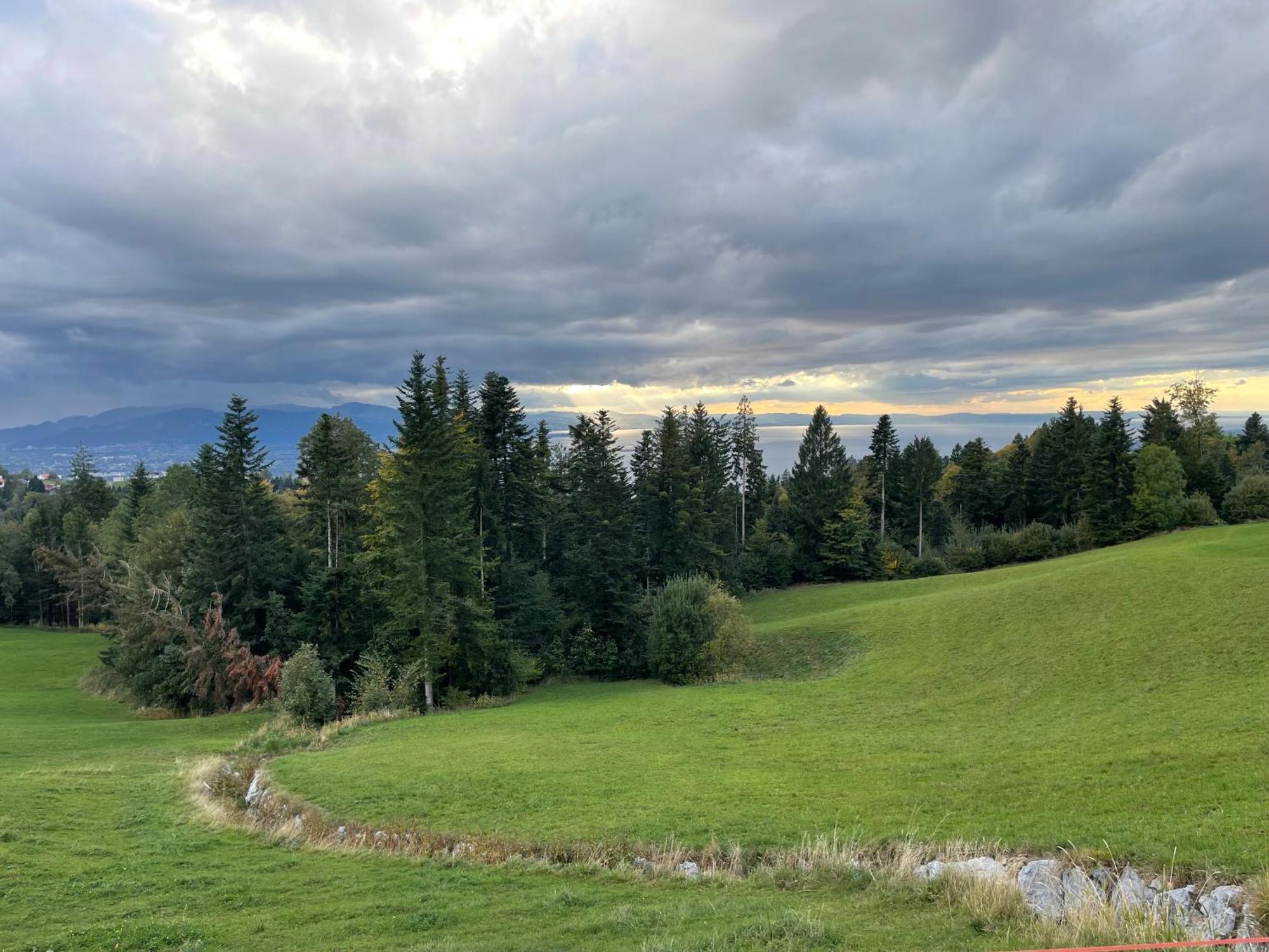 Eichen-Chalet Villa Eichenberg Oda fotoğraf